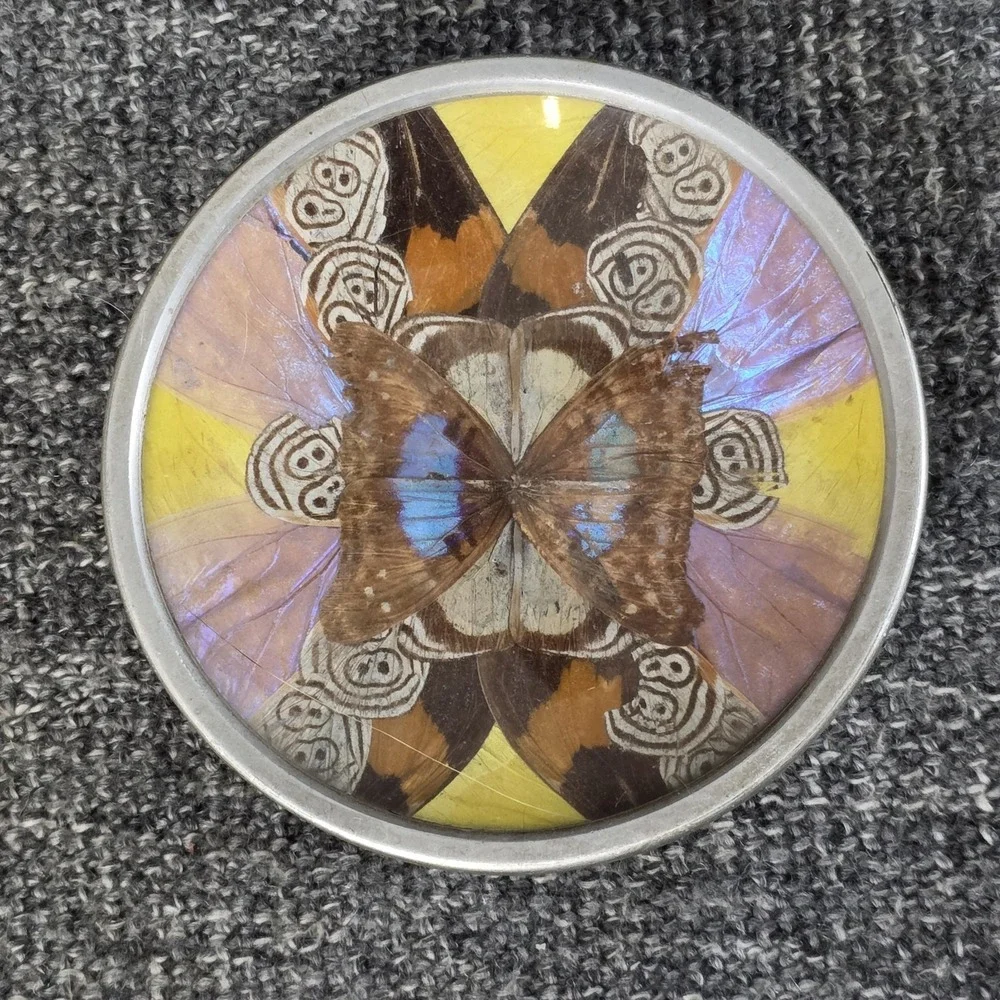 Vtg Iridescent Blue Morpho Butterfly & Moth Wing Plate Wall Hanging 3.5